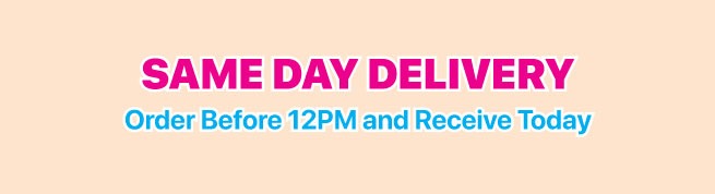 same day delivery
