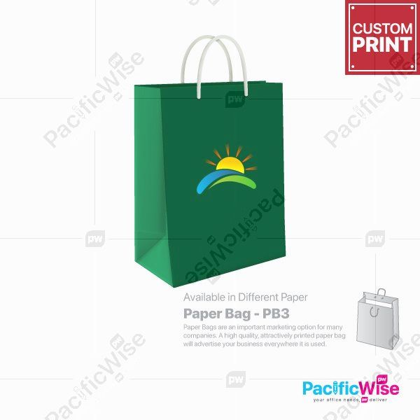 Customized Printing Paper Bag (PB3)