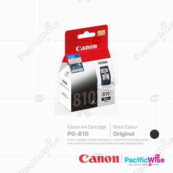 Canon Ink Cartridge PG-810 (Original)