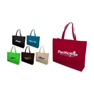 Non Woven Bag (NWB-016)