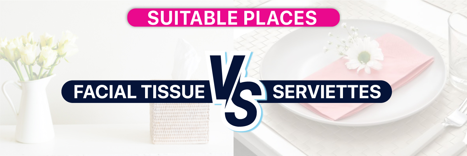 suitable places facial tissue vs serviettes